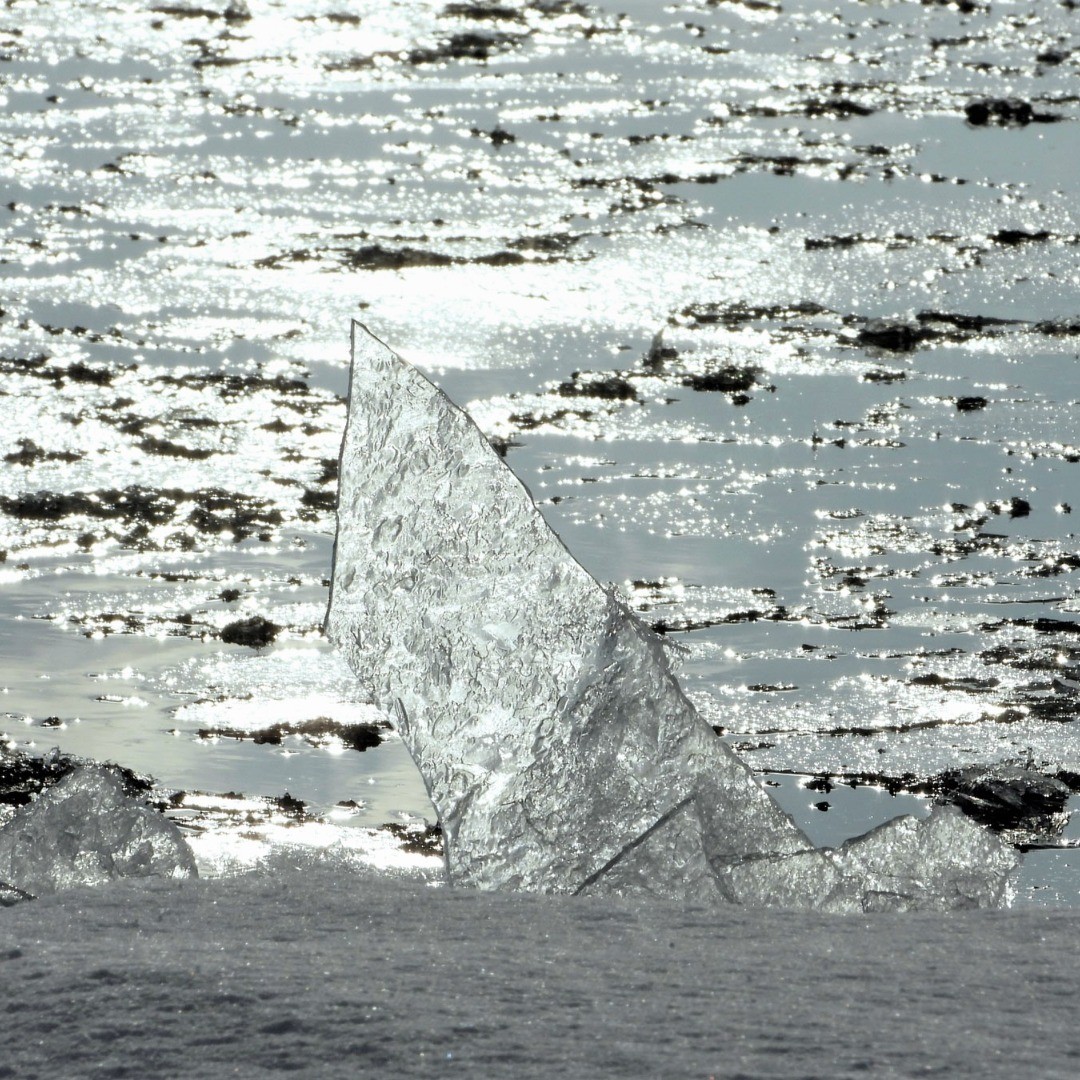 #北海道 #石狩 #氷の芸術 #hokkaido #ishikari #iceart