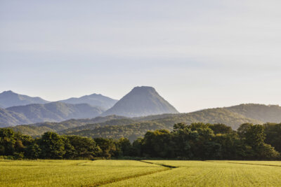 黄金山